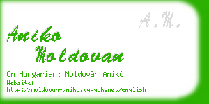 aniko moldovan business card