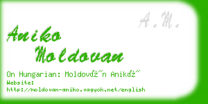 aniko moldovan business card